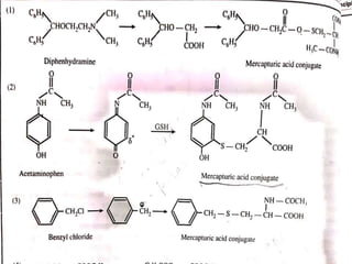 glutathione conjugation phase 2 Biochemistry🔬 | Metabolism of acetaminophen (paracetamol) . Acetaminophen  is widely used as a painkiller. Taken in the usual therapeutic doses, it  is main image 0
