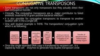 Conjugation, transposition and antibiotic resistance | PPTX