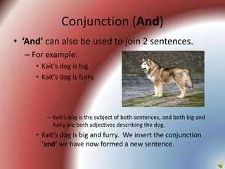 Conjunction (And)
• ‘And’ can also be used to join 2 sentences.
  – For example:
     • Kait’s dog is big.
     • Kait’s dog is furry.




         – Kait’s dog is the subject of both sentences, and both big and
           furry are both adjectives describing the dog.
     • Kait’s dog is big and furry. We insert the conjunction
       ‘and’ we have now formed a new sentence.
 