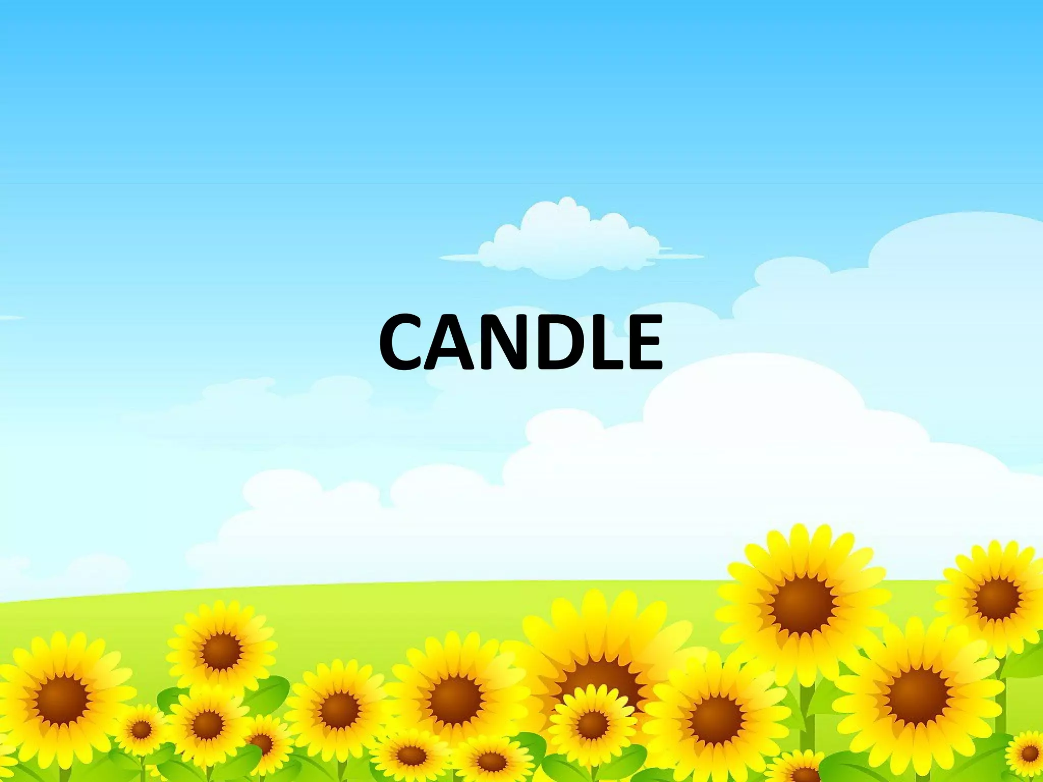 CANDLE

 