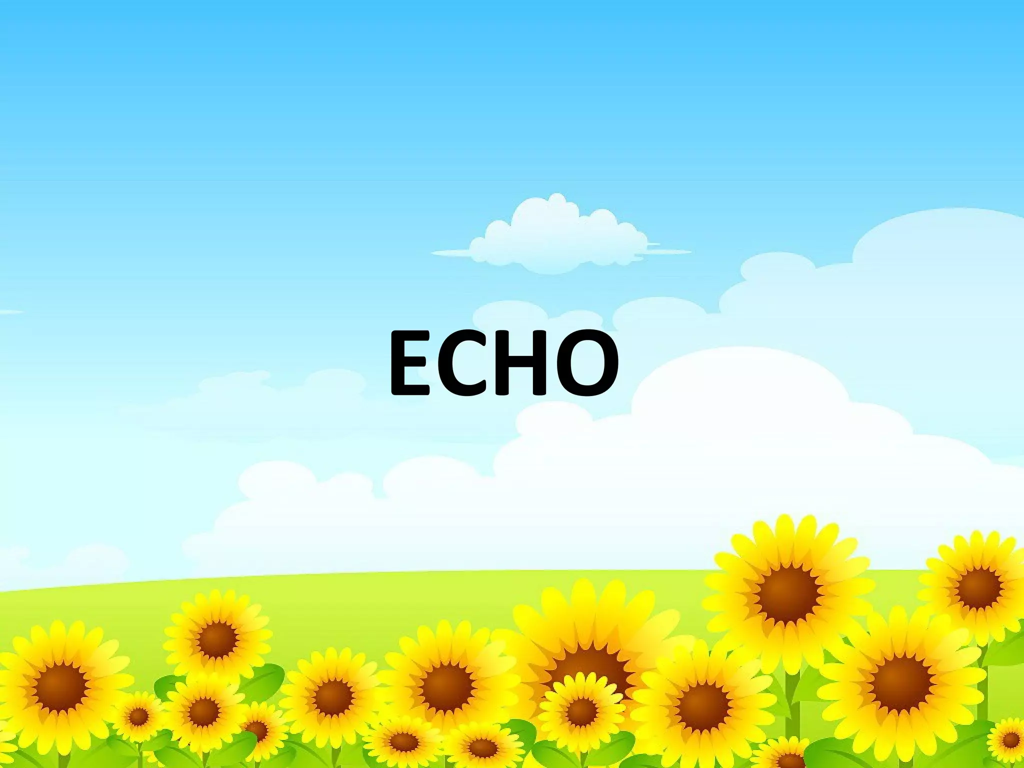 ECHO

 