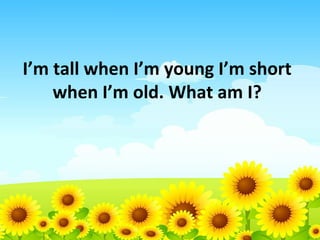 I’m tall when I’m young I’m short
when I’m old. What am I?

 