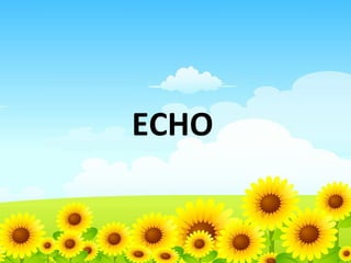 ECHO

 