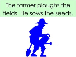The farmer ploughs the fields. He sows the seeds. 