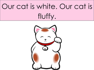 Our cat is white. Our cat is fluffy. 