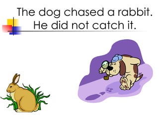 The dog chased a rabbit. He did not catch it.