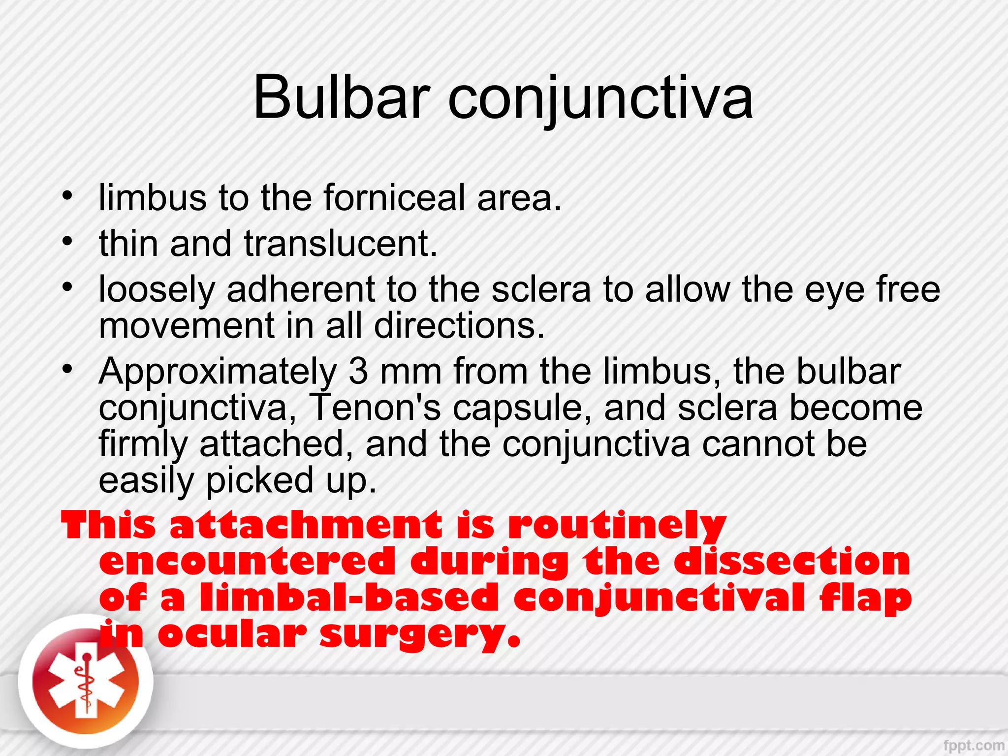 Bulbar conjunctiva
• limbus to the forniceal area.
• thin and translucent.
• loosely adherent to the sclera to allow the eye free
movement in all directions.
• Approximately 3 mm from the limbus, the bulbar
conjunctiva, Tenon's capsule, and sclera become
firmly attached, and the conjunctiva cannot be
easily picked up.
This attachment is routinely
encountered during the dissection
of a limbal-based conjunctival flap
in ocular surgery.
 