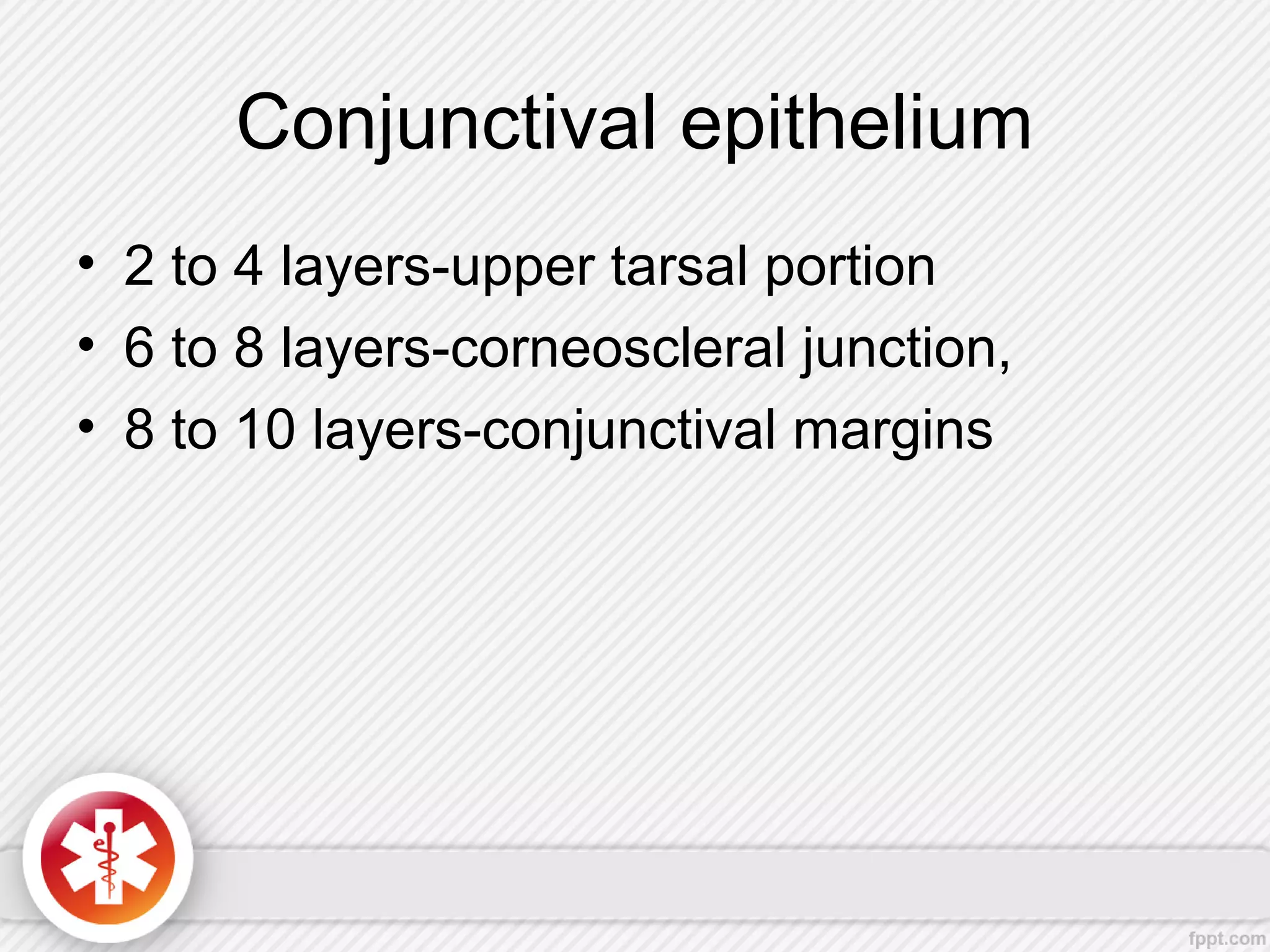 Conjunctival epithelium
• 2 to 4 layers-upper tarsal portion
• 6 to 8 layers-corneoscleral junction,
• 8 to 10 layers-conjunctival margins
 