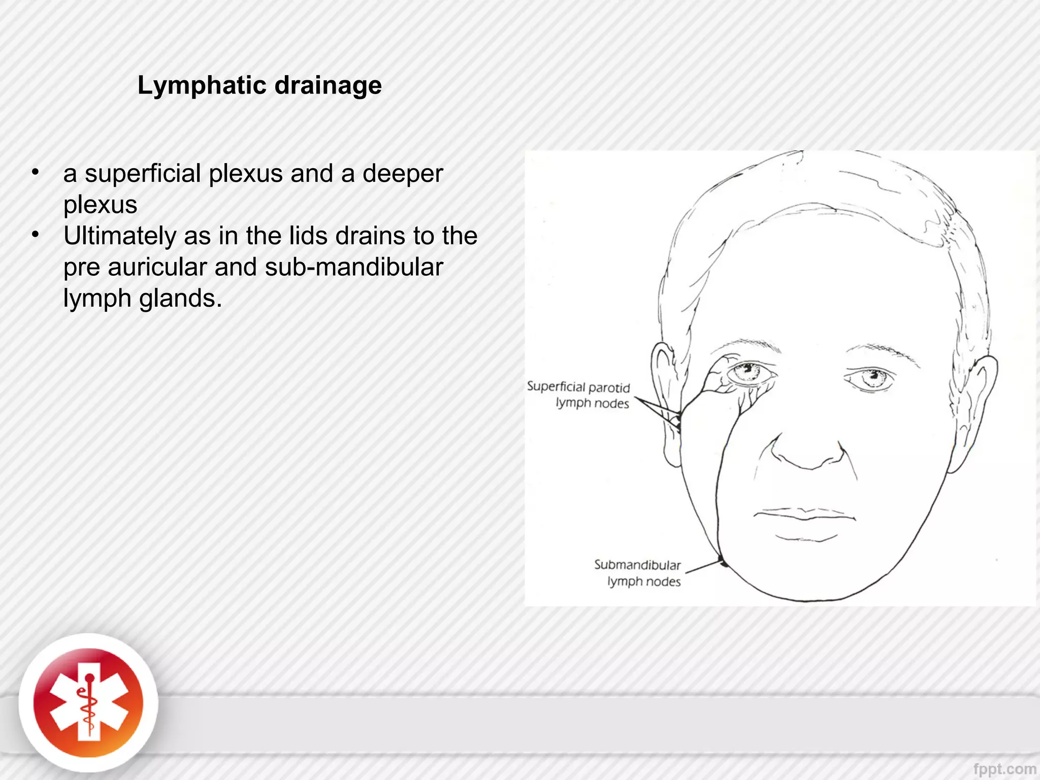 Lymphatic drainage
• a superficial plexus and a deeper
plexus
• Ultimately as in the lids drains to the
pre auricular and sub-mandibular
lymph glands.
 