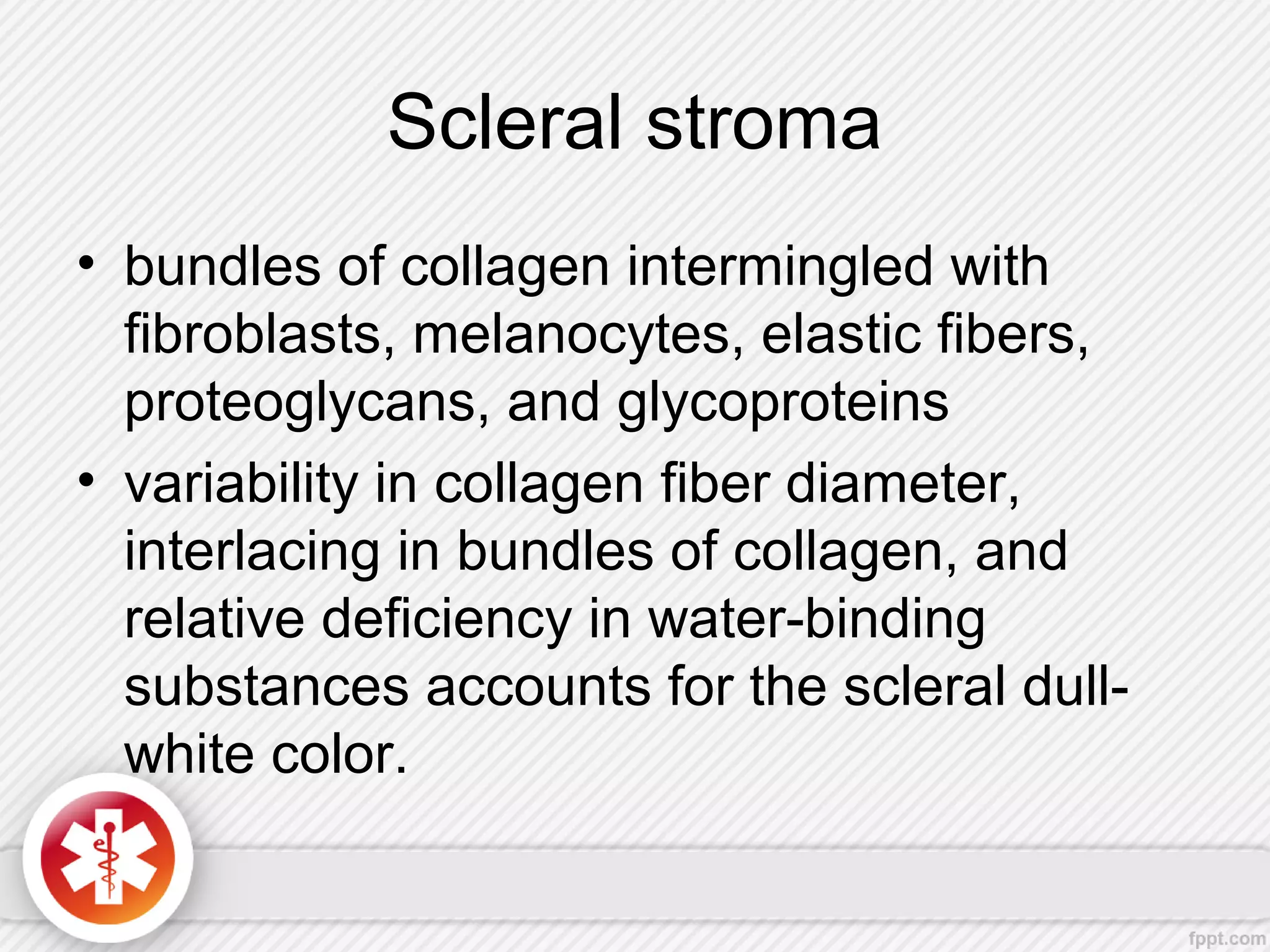 Scleral stroma
• bundles of collagen intermingled with
fibroblasts, melanocytes, elastic fibers,
proteoglycans, and glycoproteins
• variability in collagen fiber diameter,
interlacing in bundles of collagen, and
relative deficiency in water-binding
substances accounts for the scleral dull-
white color.
 