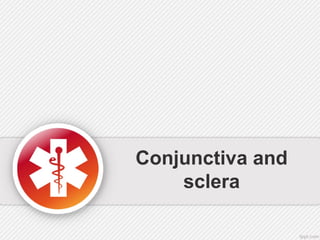 Conjunctiva and
sclera
 