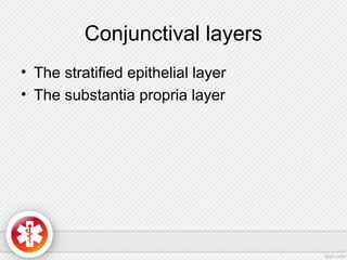 Conjunctival layers
• The stratified epithelial layer
• The substantia propria layer
 