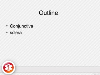 Outline
• Conjunctiva
• sclera
 