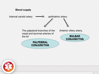 Blood supply
Internal carotid artery ophthalmic artery
The palpebral branches of the
nasal and lacrimal arteries of
the lid
Anterior ciliary artery.
 