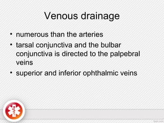 Venous drainage
• numerous than the arteries
• tarsal conjunctiva and the bulbar
conjunctiva is directed to the palpebral
veins
• superior and inferior ophthalmic veins
 