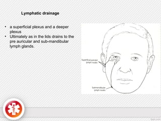 Lymphatic drainage
• a superficial plexus and a deeper
plexus
• Ultimately as in the lids drains to the
pre auricular and sub-mandibular
lymph glands.
 