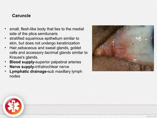 Caruncle
• small, flesh-like body that lies to the medial
side of the plica semilunaris
• stratified squamous epithelium similar to
skin, but does not undergo keratinization
• Hair,sebaceous and sweat glands, goblet
cells and accessory lacrimal glands similar to
Krause's glands.
• Blood supply-superior palpebral arteries
• Nerve supply-infratrochlear nerve
• Lymphatic drainage-sub maxillary lymph
nodes
 