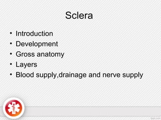 Sclera
• Introduction
• Development
• Gross anatomy
• Layers
• Blood supply,drainage and nerve supply
 