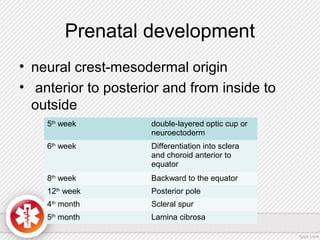 Prenatal development
• neural crest-mesodermal origin
• anterior to posterior and from inside to
outside
5th
week double-layered optic cup or
neuroectoderm
6th
week Differentiation into sclera
and choroid anterior to
equator
8th
week Backward to the equator
12th
week Posterior pole
4th
month Scleral spur
5th
month Lamina cibrosa
 