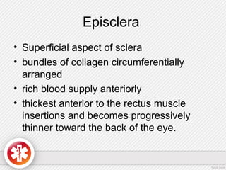 Episclera
• Superficial aspect of sclera
• bundles of collagen circumferentially
arranged
• rich blood supply anteriorly
• thickest anterior to the rectus muscle
insertions and becomes progressively
thinner toward the back of the eye.
 