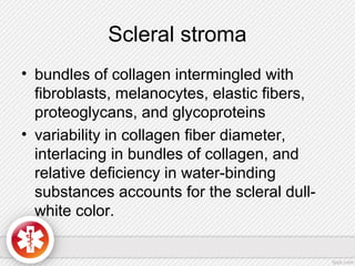 Scleral stroma
• bundles of collagen intermingled with
fibroblasts, melanocytes, elastic fibers,
proteoglycans, and glycoproteins
• variability in collagen fiber diameter,
interlacing in bundles of collagen, and
relative deficiency in water-binding
substances accounts for the scleral dull-
white color.
 