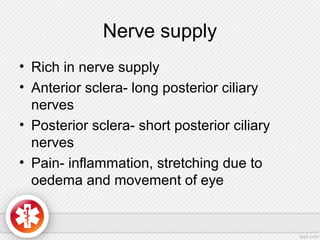 Nerve supply
• Rich in nerve supply
• Anterior sclera- long posterior ciliary
nerves
• Posterior sclera- short posterior ciliary
nerves
• Pain- inflammation, stretching due to
oedema and movement of eye
 