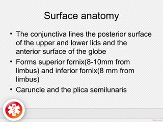 Surface anatomy
• The conjunctiva lines the posterior surface
of the upper and lower lids and the
anterior surface of the globe
• Forms superior fornix(8-10mm from
limbus) and inferior fornix(8 mm from
limbus)
• Caruncle and the plica semilunaris
 