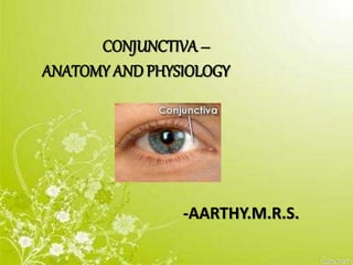 CONJUNCTIVA –
ANATOMY AND PHYSIOLOGY
-AARTHY.M.R.S.
 