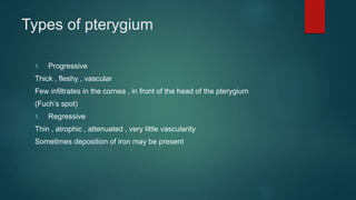 Types of pterygium
1. Progressive
Thick , fleshy , vascular
Few infiltrates in the cornea , in front of the head of the pterygium
(Fuch’s spot)
1. Regressive
Thin , atrophic , attenuated , very little vascularity
Sometimes deposition of iron may be present
 