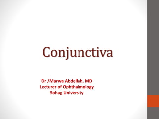 Conjunctiva
Dr /Marwa Abdellah, MD
Lecturer of Ophthalmology
Sohag University
 