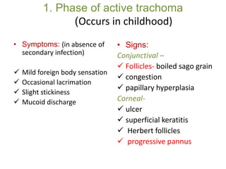 1. Phase of active trachoma
(Occurs in childhood)
• Symptoms: (in absence of
secondary infection)
 Mild foreign body sensation
 Occasional lacrimation
 Slight stickiness
 Mucoid discharge
• Signs:
Conjunctival –
 Follicles- boiled sago grain
 congestion
 papillary hyperplasia
Corneal-
 ulcer
 superficial keratitis
 Herbert follicles
 progressive pannus
 