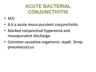 ACUTE BACTERIAL
CONJUNCTIVITIS
• M/c
• A.k.a acute muco-purulent conjunctivitis
• Marked conjunctival hyperemia and
mucopurulent discharge.
• Common causative organisms: staph. Strep.
pneumococcus
 
