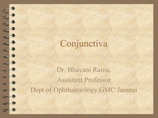 Conjunctiva
Dr. Bhavani Raina,
Assistant Professor
Dept of Ophthalmology,GMC Jammu
1
 