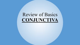 Review of Basics
CONJUNCTIVA
 