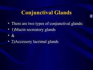 Conjunctival Glands
• There are two types of conjunctival glands:
• 1)Mucin secreatory glands
• &
• 2)Accessory lacrimal glands
 