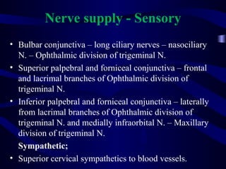 Nerve supply - Sensory
• Bulbar conjunctiva – long ciliary nerves – nasociliary
N. – Ophthalmic division of trigeminal N.
• Superior palpebral and forniceal conjunctiva – frontal
and lacrimal branches of Ophthalmic division of
trigeminal N.
• Inferior palpebral and forniceal conjunctiva – laterally
from lacrimal branches of Ophthalmic division of
trigeminal N. and medially infraorbital N. – Maxillary
division of trigeminal N.
Sympathetic;
• Superior cervical sympathetics to blood vessels.
 