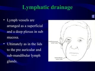 Lymphatic drainage
• Lymph vessels are
arranged as a superficial
and a deep plexus in sub
mucosa.
• Ultimately as in the lids
to the pre auricular and
sub-mandibular lymph
glands.
 