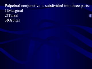 Palpebral conjunctiva is subdivided into three parts:
1)Marginal
2)Tarsal
3)Orbital
 