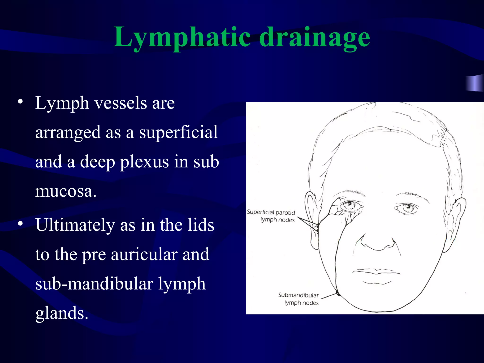 Lymphatic drainage
• Lymph vessels are
arranged as a superficial
and a deep plexus in sub
mucosa.
• Ultimately as in the lids
to the pre auricular and
sub-mandibular lymph
glands.
 