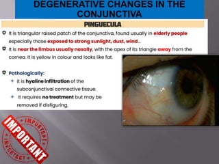 DEGENERATIVE CHANGES IN THE
CONJUNCTIVA