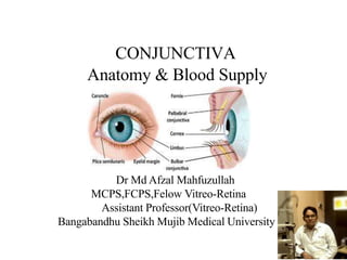 CONJUNCTIVA
Anatomy & Blood Supply
Dr Md Afzal Mahfuzullah
MCPS,FCPS,Felow Vitreo-Retina
Assistant Professor(Vitreo-Retina)
Bangabandhu Sheikh Mujib Medical University
 