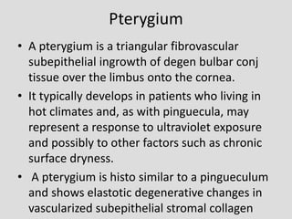 Pterygium
• A pterygium is a triangular fibrovascular
subepithelial ingrowth of degen bulbar conj
tissue over the limbus onto the cornea.
• It typically develops in patients who living in
hot climates and, as with pinguecula, may
represent a response to ultraviolet exposure
and possibly to other factors such as chronic
surface dryness.
• A pterygium is histo similar to a pingueculum
and shows elastotic degenerative changes in
vascularized subepithelial stromal collagen
 