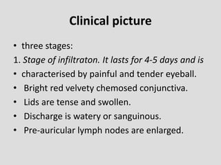 Clinical picture
• three stages:
1. Stage of infiltraton. It lasts for 4-5 days and is
• characterised by painful and tender eyeball.
• Bright red velvety chemosed conjunctiva.
• Lids are tense and swollen.
• Discharge is watery or sanguinous.
• Pre-auricular lymph nodes are enlarged.
 
