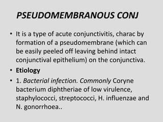 Conjunctivitis | PPTX