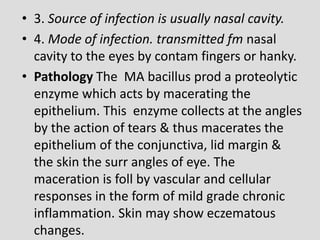 • 3. Source of infection is usually nasal cavity.
• 4. Mode of infection. transmitted fm nasal
cavity to the eyes by contam fingers or hanky.
• Pathology The MA bacillus prod a proteolytic
enzyme which acts by macerating the
epithelium. This enzyme collects at the angles
by the action of tears & thus macerates the
epithelium of the conjunctiva, lid margin &
the skin the surr angles of eye. The
maceration is foll by vascular and cellular
responses in the form of mild grade chronic
inflammation. Skin may show eczematous
changes.
 