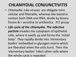 CHLAMYDIAL CONJUNCTIVITIS
• Chlamydia :Like viruses are obligate intra
cellular and filterable, whereas like bacteria
contain both DNA and RNA, divide by binary
fission & r sensitive to antibiotics. PLT group
• Life cycle of the chlamydia. The infective
particle invades the cytoplasm of epithelial
cells, where it swells up and forms the 'initial
body'. They rapidly divide into 'elementary
bodies‘ embedded in glycogen matrix which
are liberated when the cells burst. Then the
'elementary bodies' infect other cells where
the whole cycle is repeated
 