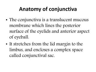 Anatomy of conjunctiva
• The conjunctiva is a translucent mucous
membrane which lines the posterior
surface of the eyelids...