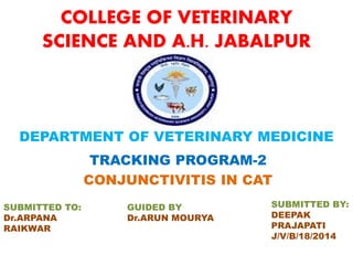COLLEGE OF VETERINARY
SCIENCE AND A.H. JABALPUR
TRACKING PROGRAM-2
CONJUNCTIVITIS IN CAT
DEPARTMENT OF VETERINARY MEDICINE
SUBMITTED TO:
Dr.ARPANA
RAIKWAR
SUBMITTED BY:
DEEPAK
PRAJAPATI
J/V/B/18/2014
GUIDED BY
Dr.ARUN MOURYA
 