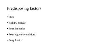 Predisposing factors
• Flies
• Hot dry climate
• Poor Sanitation
• Poor hygienic conditions
• Dirty habits
 