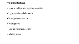 Clinical feature:
Intense itching and burning sensation
Hyperaemia and chemosis
Foreign body sensation
Photophobia
Conjunctival congestion
Muddy sclera
 
